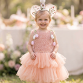 Petal Mist Tulle Dress