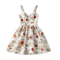 Meadow Bloom Dress
